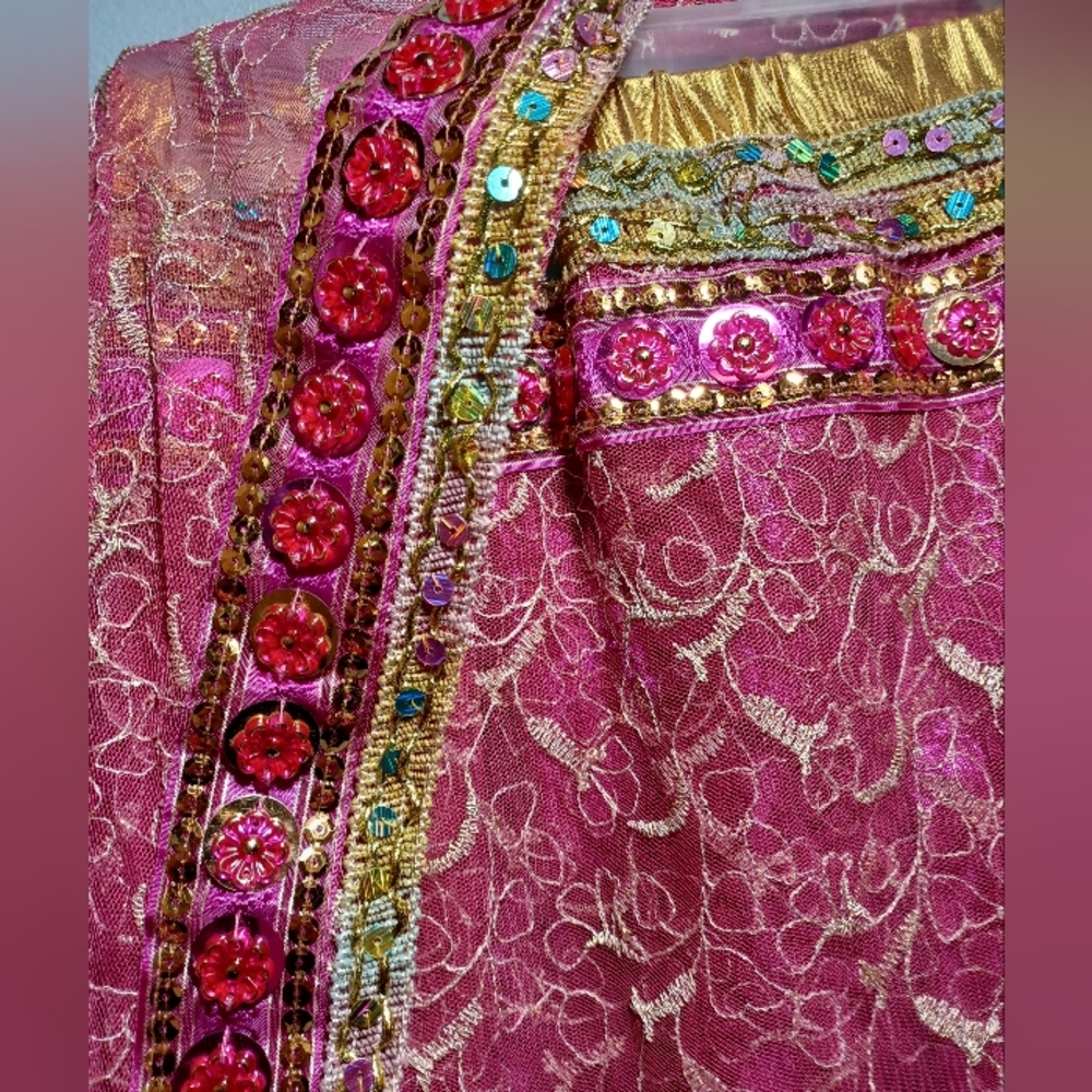 Skirt with attached saree - Picture 4 of 5
